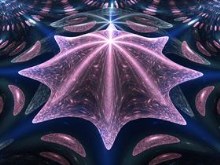 Starfish by Baddad