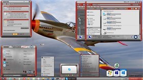 Tuskegee Airman