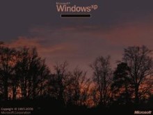 Dawn Windows