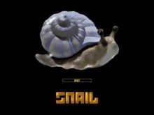 Snail 2