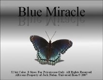 Blue Miracle