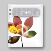 Adobe Creative Suite 1.0 Smart File