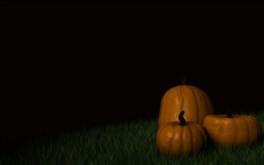 Pumpkin Spotted