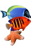 Marine Aquarium Icon