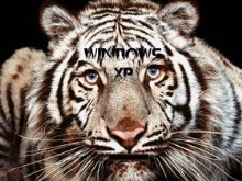 Eye Of The zTiger