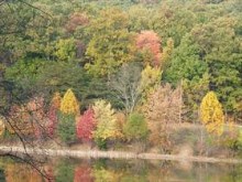 Fall at the creek 