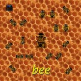 bee