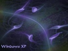 Fractal 43