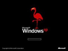 Windows XP Flamingo Edition