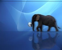 Elephant desktop