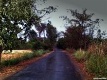 Lonely Road