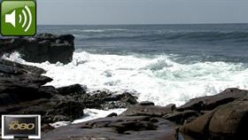 La Jolla Cove