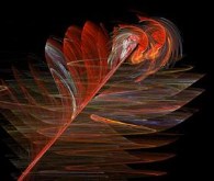 The Butterfly