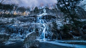 Frozen Forest Waterfall Stream