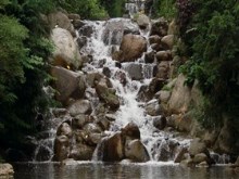 Rocky_Forest_Falls