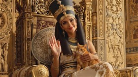 4K The Queens Kat