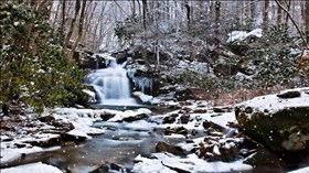 Winter Forest River