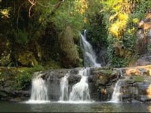 yellow creek falls