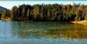 Austria Duck Lake
