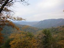 Dart Canyon View