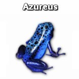 Azureus Blue Frog Icon