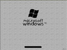 Windows Gary