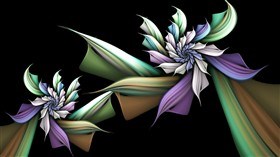 Night Orchids