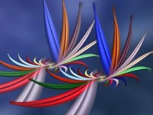 BirdsOfParadise