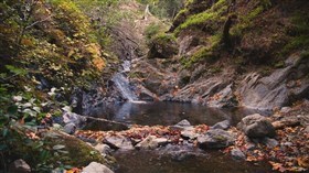 Bailey Creek Waterfall