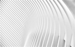 White Abstract Curved Lines
