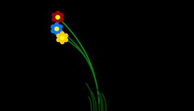 WindyFlowers