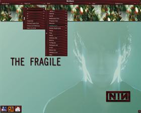 TheFragile