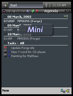 Mini
