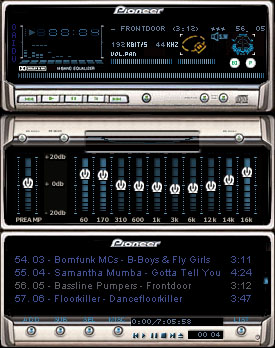 Pioneer Professional