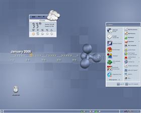 JSR Skinplant 2005