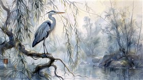  a heron 