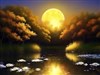a pond