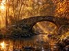 A river bridge