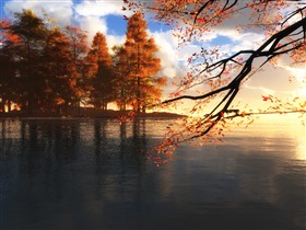 Dreamy Summer Morning