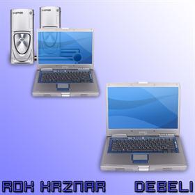My Computer and My Network places