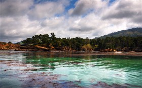 Whalers Cove II