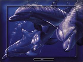 Dolphin Quest