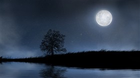 Nocturne