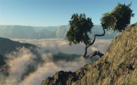 Winding Tree