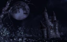 A mystic night