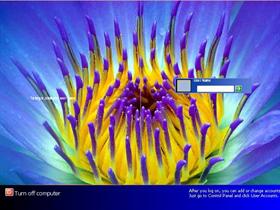 XP Flowered