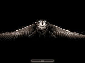 in Flying