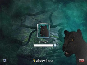 Night Panther_vista7