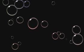 Bubbles