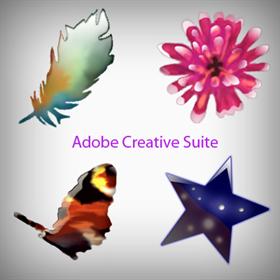 Adobe Creative Suite